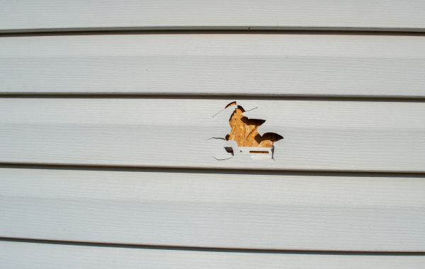 Cost of Siding Hole Patching in Racine