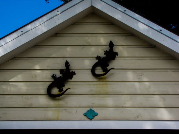 Cost of Shiplap Siding Installation in Racine